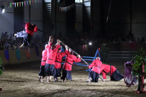 Alice și turnirul prințeselor 2018