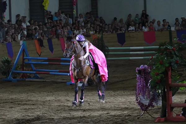 Alice și turnirul prințeselor 2018