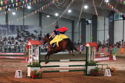 Alice și turnirul prințeselor 2018