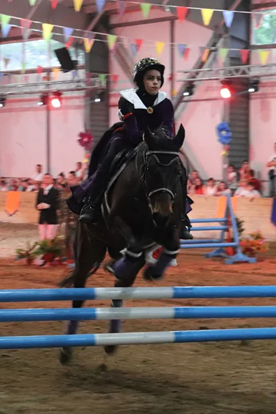 Alice și turnirul prințeselor 2018