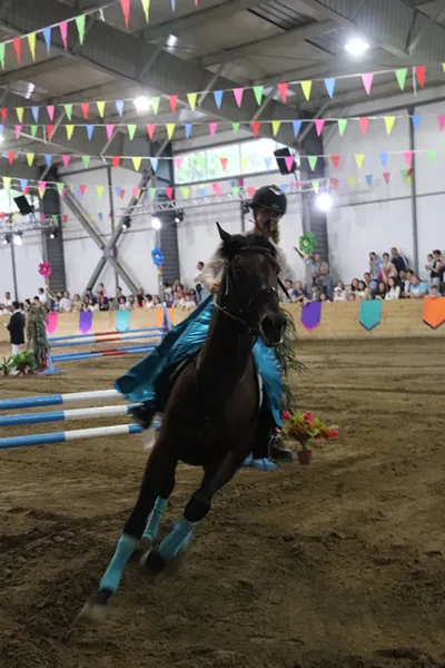 Alice și turnirul prințeselor 2018