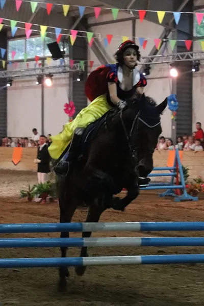 Alice și turnirul prințeselor 2018