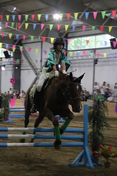 Alice și turnirul prințeselor 2018